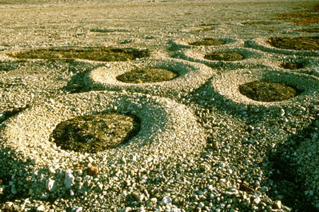 Photo of Patterned Earth in Spitsbergen